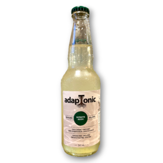 Soda Sapinette Reishi 341ml
